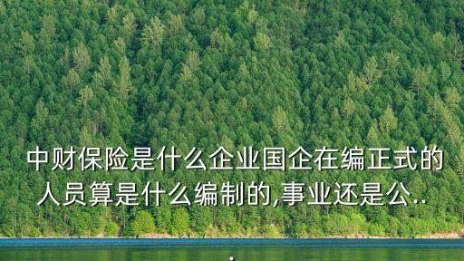  中財保險是什么企業(yè)國企在編正式的人員算是什么編制的,事業(yè)還是公...