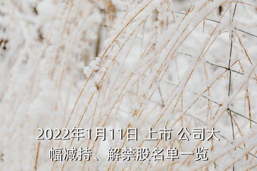 2022年1月11日 上市 公司大幅減持、解禁股名單一覽