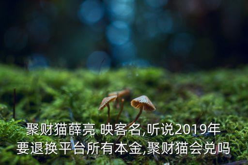 聚財貓薛亮 映客名,聽說2019年要退換平臺所有本金,聚財貓會兌嗎