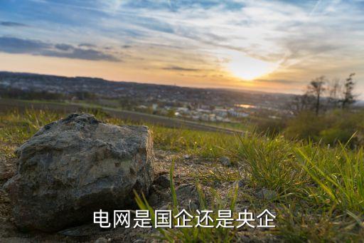 中國(guó)主要電網(wǎng)股份企業(yè)有哪些