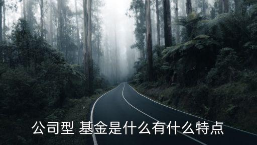 公司型 基金是什么有什么特點(diǎn)