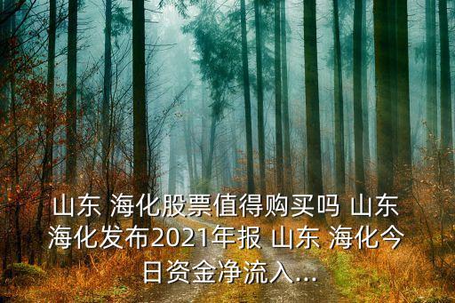  山東 海化股票值得購買嗎 山東 ?；l(fā)布2021年報(bào) 山東 海化今日資金凈流入...