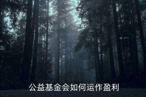  公益基金會如何運作盈利