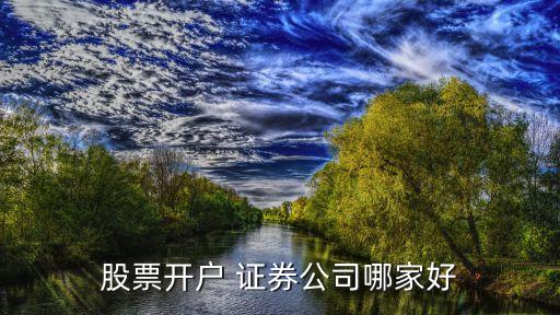 上海國(guó)開證券如何,上海開哪個(gè)證券的戶比較好