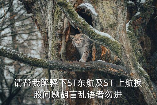 請幫我解釋下ST東航及ST 上航換股問題胡言亂語者勿進