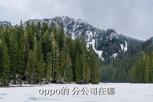 oppo的 分公司在哪