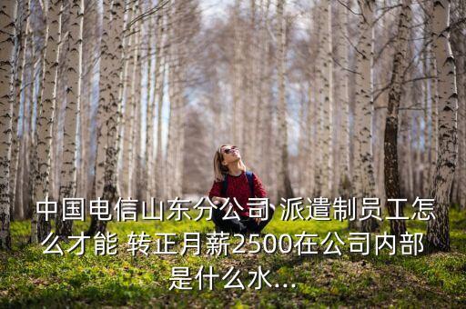  中國電信山東分公司 派遣制員工怎么才能 轉(zhuǎn)正月薪2500在公司內(nèi)部是什么水...