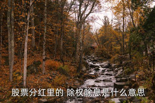  股票分紅里的 除權(quán)除息是什么意思