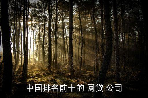 中國(guó)排名前十的 網(wǎng)貸 公司