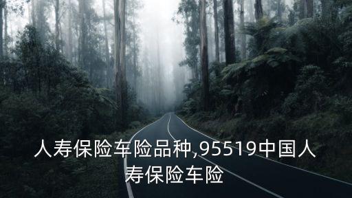 中國人壽保險車險品種,95519中國人壽保險車險