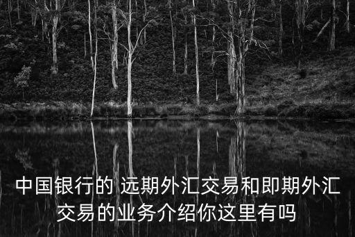 中國銀行的 遠(yuǎn)期外匯交易和即期外匯交易的業(yè)務(wù)介紹你這里有嗎