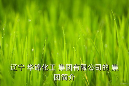 遼寧 華錦化工 集團(tuán)有限公司的 集團(tuán)簡(jiǎn)介