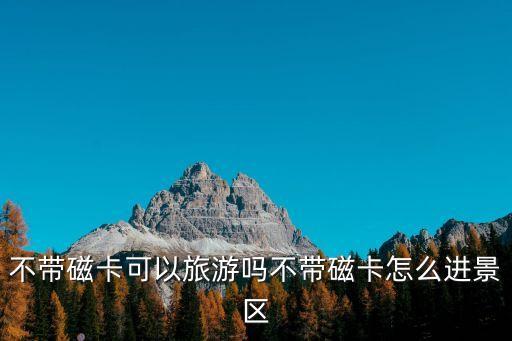 不帶磁卡可以旅游嗎不帶磁卡怎么進景區(qū)