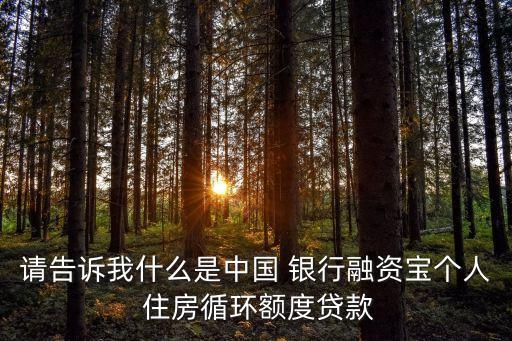 請告訴我什么是中國 銀行融資寶個(gè)人 住房循環(huán)額度貸款