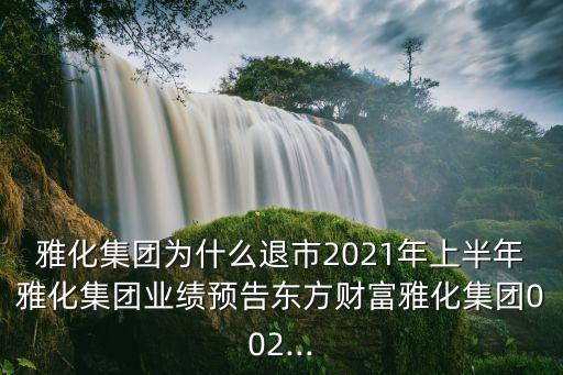 雅化集團(tuán)為什么退市2021年上半年雅化集團(tuán)業(yè)績(jī)預(yù)告東方財(cái)富雅化集團(tuán)002...