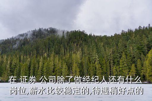 在 證券 公司除了做經(jīng)紀人還有什么崗位,薪水比較穩(wěn)定的,待遇稍好點的