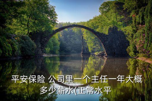  平安保險(xiǎn) 公司里一個(gè)主任一年大概多少薪水(正常水平