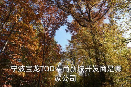  寧波寶龍TOD奉甬新城開發(fā)商是哪家公司