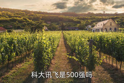 科大訊飛是500強嗎