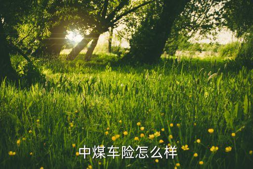 中煤財險公司山東分公司