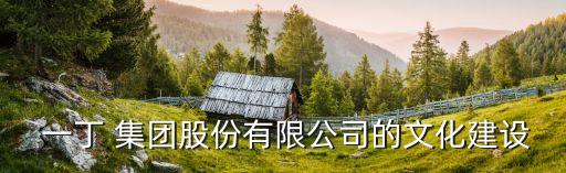  一丁 集團股份有限公司的文化建設(shè)