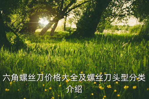 六角螺絲刀價(jià)格大全及螺絲刀頭型分類(lèi)介紹