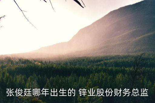 張俊廷哪年出生的 鋅業(yè)股份財(cái)務(wù)總監(jiān)