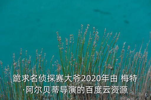 跪求名偵探賽大爺2020年由 梅特·阿爾貝蒂導(dǎo)演的百度云資源