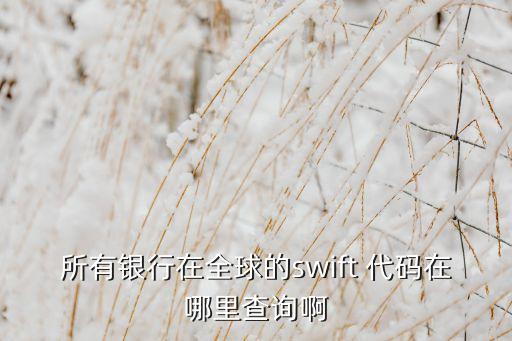 所有銀行在全球的swift 代碼在哪里查詢(xún)啊