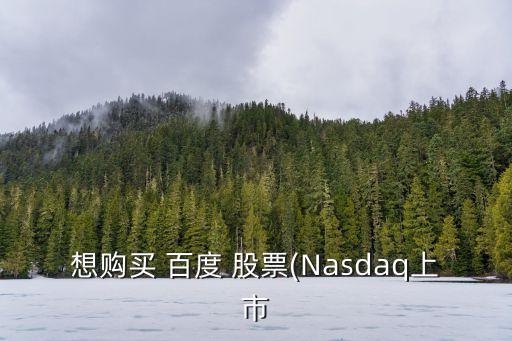 想購買 百度 股票(Nasdaq上市