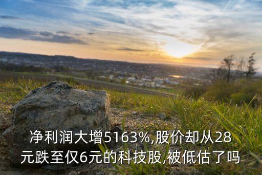 凈利潤大增5163%,股價卻從28元跌至僅6元的科技股,被低估了嗎