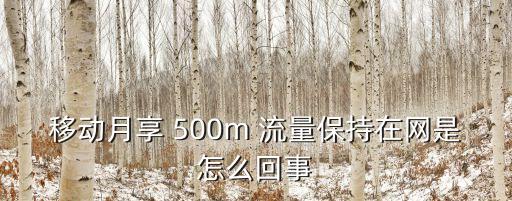 移動月享 500m 流量保持在網(wǎng)是怎么回事