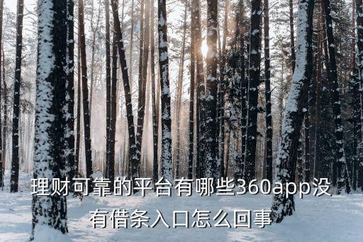 理財(cái)可靠的平臺有哪些360app沒有借條入口怎么回事