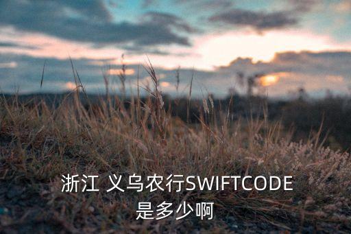  浙江 義烏農行SWIFTCODE是多少啊