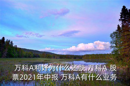  萬(wàn)科A利好為什么還跌 萬(wàn)科A 股票2021年中報(bào) 萬(wàn)科A有什么業(yè)務(wù)