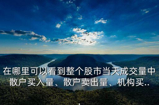 在哪里可以看到整個股市當天成交量中散戶買入量、散戶賣出量、機構買...