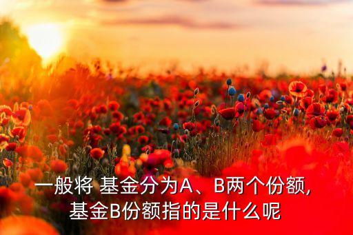 一般將 基金分為A、B兩個(gè)份額, 基金B(yǎng)份額指的是什么呢