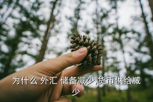 為什么 外匯 儲(chǔ)備減少,貨幣供給減少