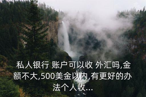  私人銀行 賬戶可以收 外匯嗎,金額不大,500美金以內,有更好的辦法個人收...