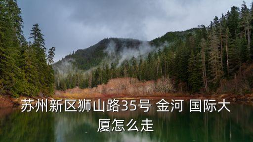 蘇州新區(qū)獅山路35號 金河 國際大廈怎么走