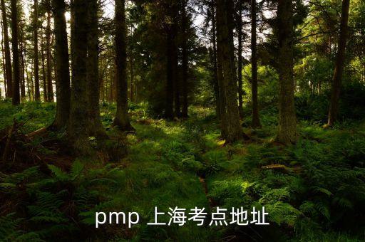 pmp 上?？键c(diǎn)地址