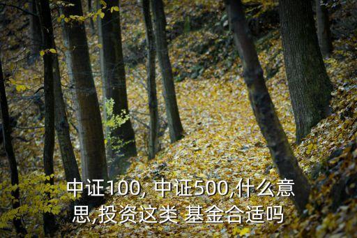  中證100, 中證500,什么意思,投資這類(lèi) 基金合適嗎