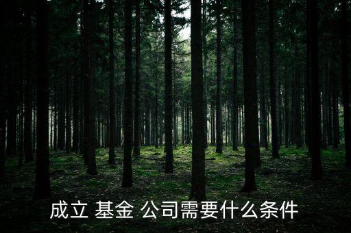 成立 基金 公司需要什么條件