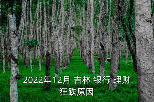 2022年12月 吉林 銀行 理財狂跌原因