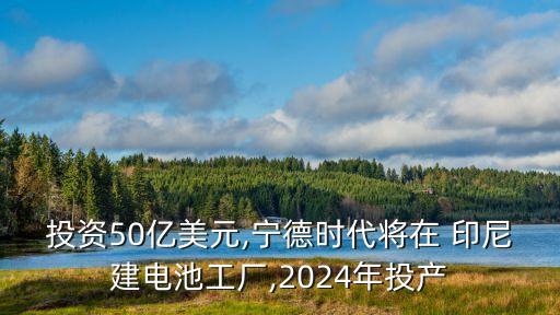 投資50億美元,寧德時(shí)代將在 印尼建電池工廠,2024年投產(chǎn)