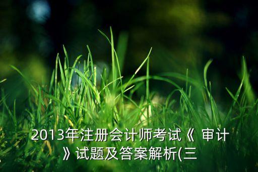  2013年注冊(cè)會(huì)計(jì)師考試《 審計(jì)》試題及答案解析(三