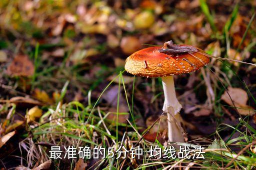 最準(zhǔn)確的5分鐘 均線戰(zhàn)法