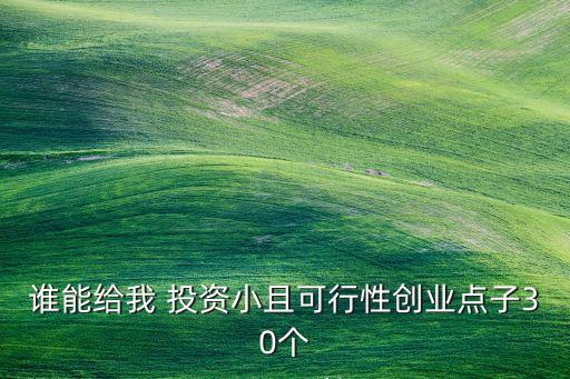 誰能給我 投資小且可行性創(chuàng)業(yè)點(diǎn)子30個(gè)