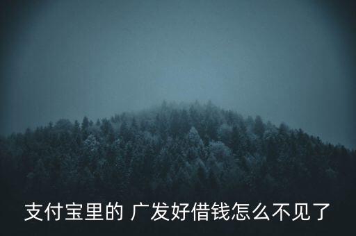 支付寶里的 廣發(fā)好借錢怎么不見了