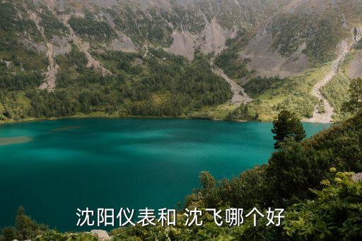 沈陽(yáng)儀表和 沈飛哪個(gè)好